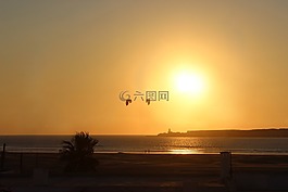风筝,kitesurfer,体育