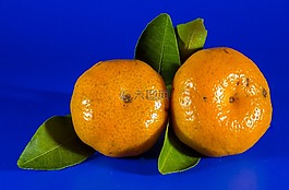 橙,橙色,普通話