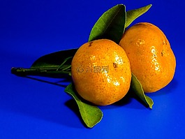 橙,橙色,普通话