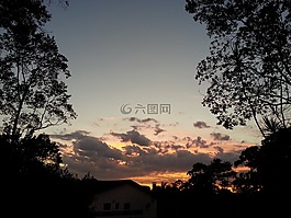 日落,樹木,景觀