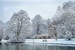 冬天,雪,寒冬