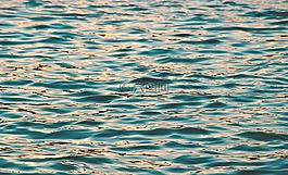 水,藍(lán)色,海洋