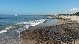 海灘,海,波