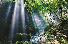 自然,景觀,山