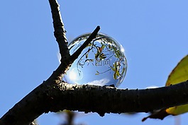 自然,景觀,天空