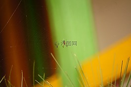 景觀,的的,字段