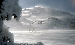 雪,冬天,白