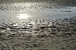 海灘,海,碼頭