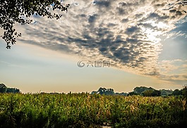 景觀,云,pano