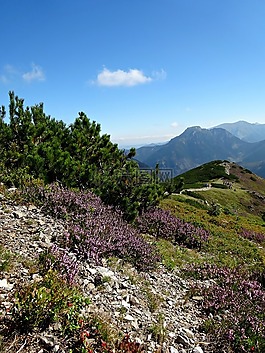 西方塔特拉,山,景观