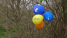 氣球,布什,標記