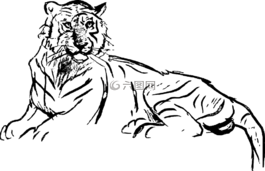 粉筆了,素描,藝術(shù)
