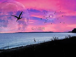 海洋,粉紅色的天空,側影