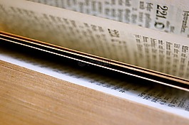 本書,圣經(jīng) 》,頁(yè)