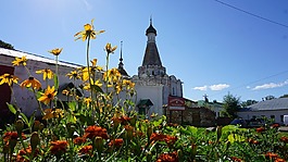 花,藝術(shù),設(shè)計(jì)