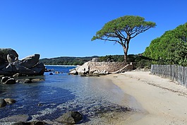 海,海灘,科西嘉