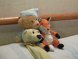 teddies,动物玩具,儿童