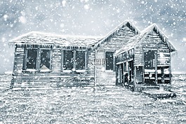 冬天,雪,農(nóng)場(chǎng)