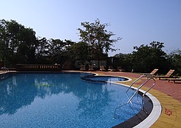 池,游泳池,水