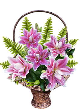 籃,百合,鮮花