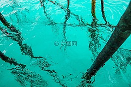 水,透明度,藍(lán)綠色