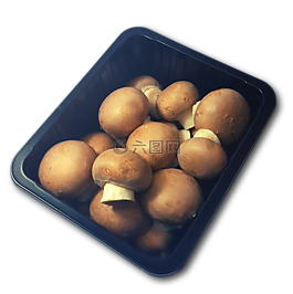 蘑菇,布朗,食品
