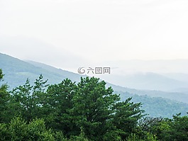 山,丘陵,樹