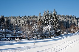 冬天,雪,冷