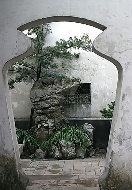 中国,盆景,花园
