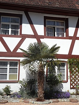 桁架,fachwerkhaus,hagnau