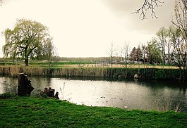 性質(zhì),公園,綠色