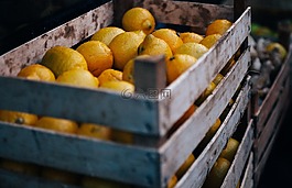 水果,檸檬,籃
