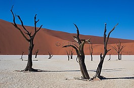 deadvlei,納米比亞,沙漠