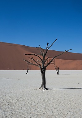 deadvlei,納米比亞,沙漠