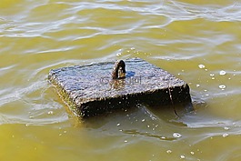 水,steinboje,修复