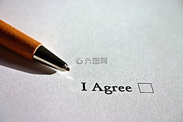 同意,英語,合同