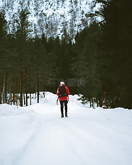 雪,冬天,白