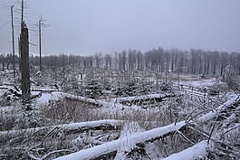 sauerland,小山,基里尔路径
