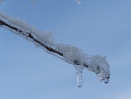 冰柱,霜雪分支,冬季