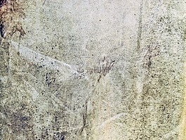 墻,結(jié)構(gòu),紋理