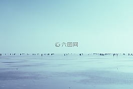 雪,冬天,人