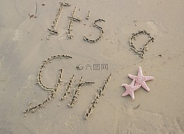 沙,海星,粉紅色