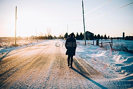 路,樹,雪