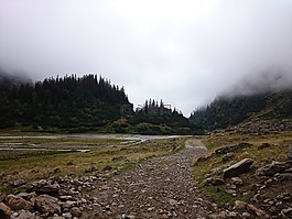 徒步旅行,山,景觀