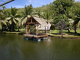 河,小屋,關島