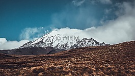 自然,景觀,霧
