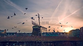 鳥(niǎo),日落,風(fēng)車(chē)