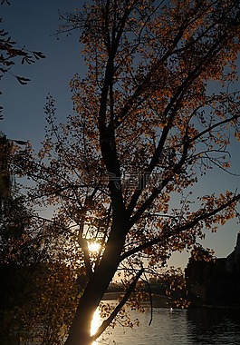 日落,太陽,鏡像