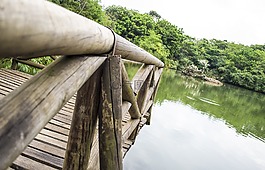 春天,捕魚,湖