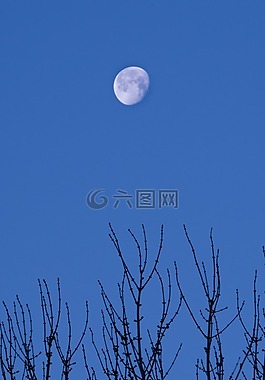 天空,自然,月亮